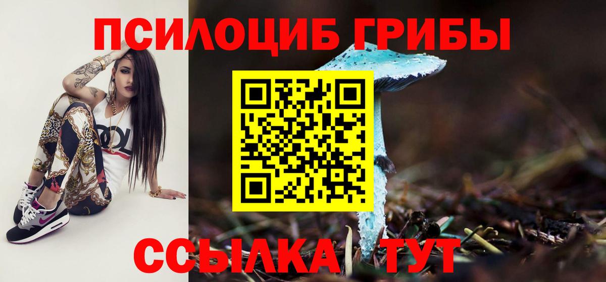 Верхняя Пышма  Псилоцибиновые грибы Cubensis  Вход с VPN 